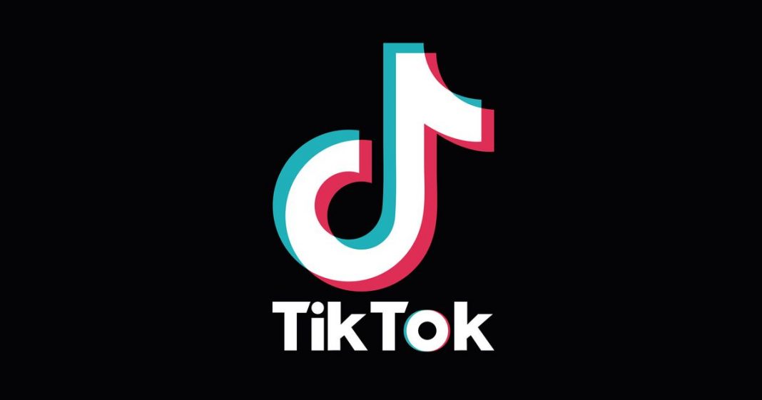 TikTok bientôt interdite en France